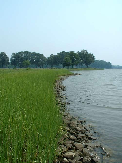 Management, Policy, Science, and Engineering of Nonstructural Erosion Control in the Chesapeake Bay