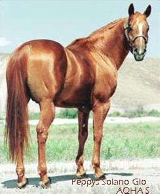 brownish-red; mane and tail usually