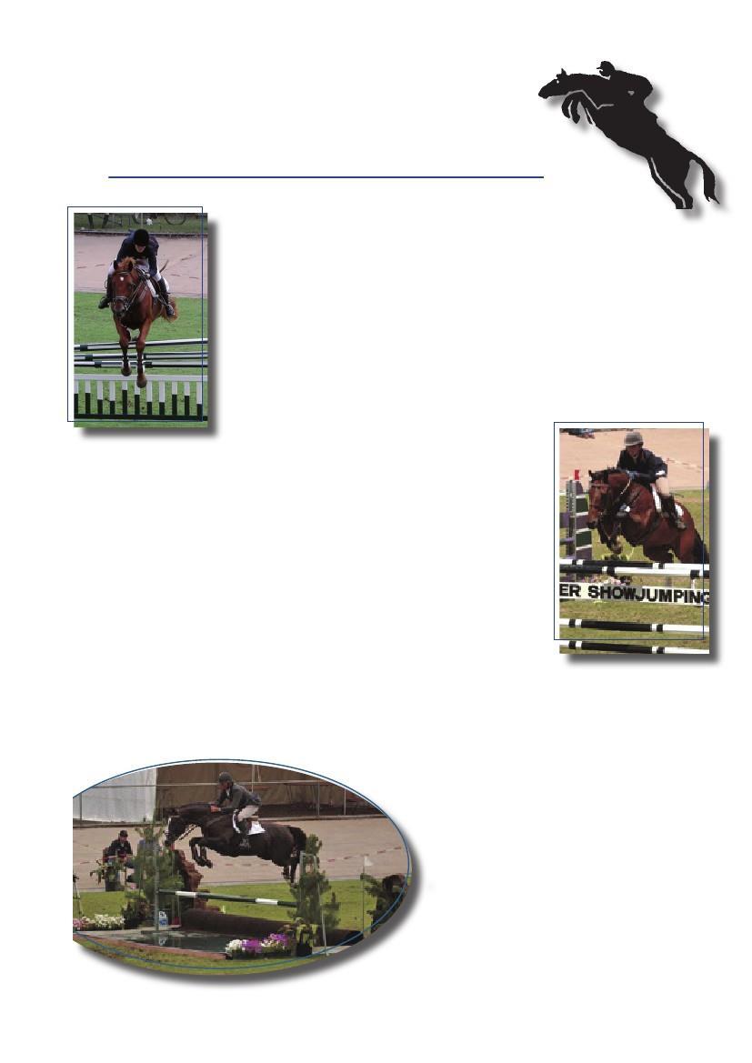 Our showjumps have been utilised by many high-profile showjumping events, including the Australian Showjumping Championships (Mt Pleasant Mt Gambier), Hermes International Showjumping (Sydney), Asian