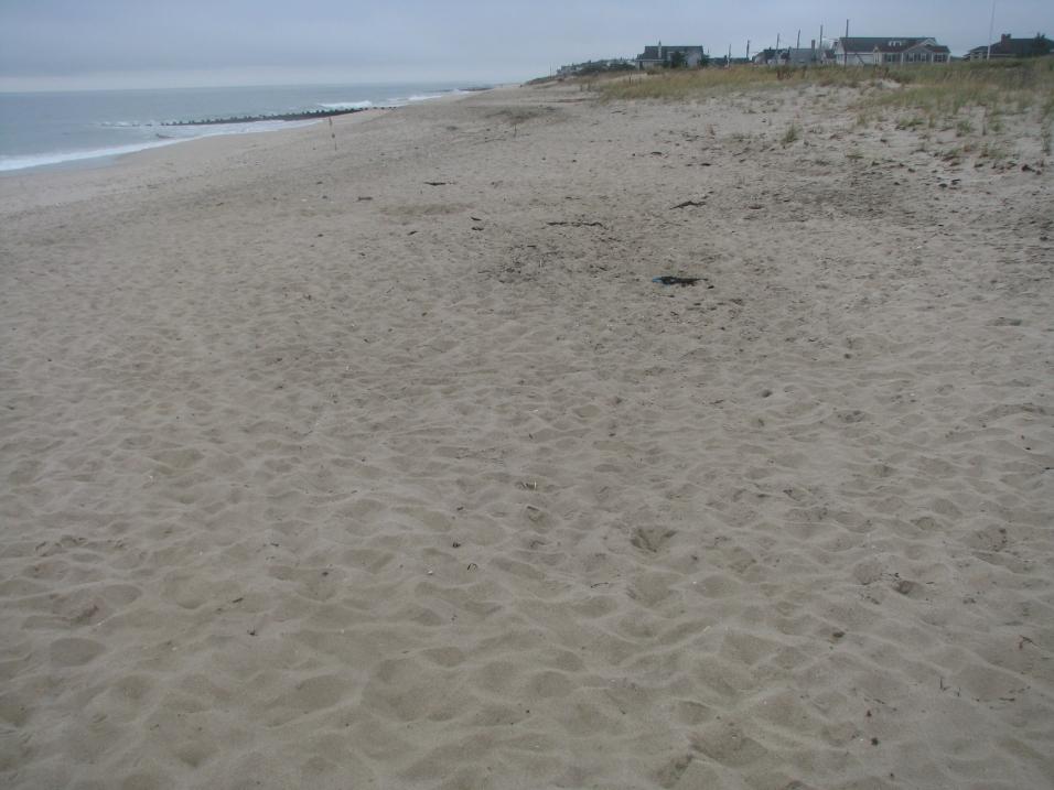 MARYLAND AVENUE, POINT PLEASANT BEACH - SITE 155 Photo taken September 2, 2009. View to the south.