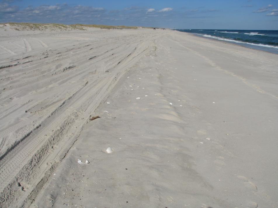 The north jetty of Barnegat Inlet is located immediately to the south and traps sand moving south and produces this expanding beach that has grown wider almost every year since