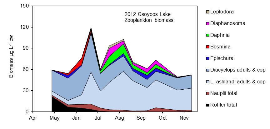 Figure 5: Wenatchee and Osoyoos Lake 2012 zooplankton biomass. The Osoyoos Lake biomasses were more than twice as high as the Lake Wenatchee biomasses.
