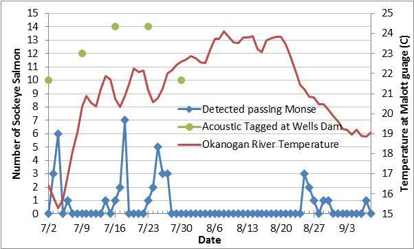 Although the median date detected at OKC was nearly identical for sockeye salmon acoustic tagged in different weeks at Wells Dam, median migration times from release to upstream sites varied