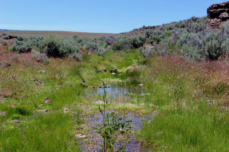 Solely situated within the Zimmerman Basin, the deeded lands offer approximately 13 miles of various streams used for irrigation, stock water and Lahontan
