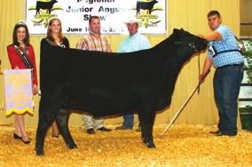 McCurry Angus Ranch Pick-Of-The-Fall Heifers MCCURRY MISS WIX 9081-2011 Reserve Grand Champion Owned Female at the Eastern Regional Jr. Show; 2011 Reserve Senior Champion at the National Jr.