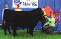 Anne Patton Schubert Forever Lady Family APS FOREVER LADY FROZEN EMBRYOS 19B Two Frozen Embryos Owned by Anne Patton Schubert, #Famous 7001 [AMF] #SAF Fame [AMF-CAF-XF] Taylorsville, KY Gambles Hot