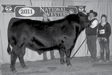 Cowman s Kind REFERENCE SIRES E JRI TOP PRODUCER 282Z3 75% GV Balancer Bull Red Homozygous Polled 02/06/12 JRI 282Z3 1221431 SIRE: POP A TOP 197T83 DAM: MS GRAND CANYON 282S2 E 17-2.