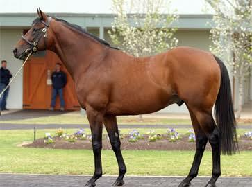 Johannesburg SIRE AND DAM LINE CROSSES MR PROSPECTOR - International breed shaper. Champion Sire, Sire of Sires and Champion Broodmare Sire features as a cross in Matumi's breeding.