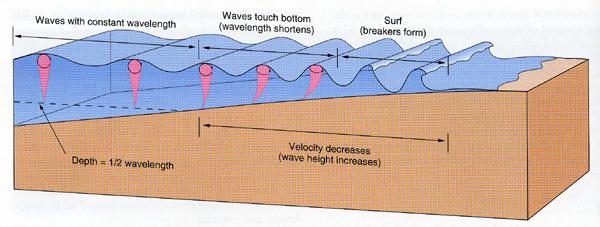 Wave Refraction and Shoaling Bottom