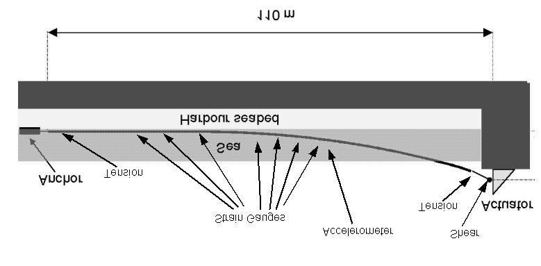 Figure 7 Full Scale Riser Configuration