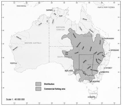 Figure 14: Geographic distribution and commercial fishing area for golden perch Source: Kailola et al.