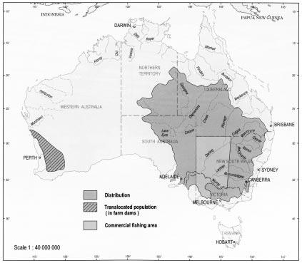 Figure 15: Geographic distribution and commercial fishing of yabbies in Australian inland waters, including translocated populations Source: Kailola et al.