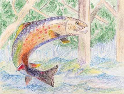 2011 NATIVE FISH ART AND WRITING CONTEST ANNOUNCED!