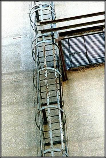 1910.29 Fall Protection Systems Criteria Cages and wells - "Cage" means an enclosure mounted on the side rails of a fixed ladder or fastened to a structure behind the fixed ladder that is designed to
