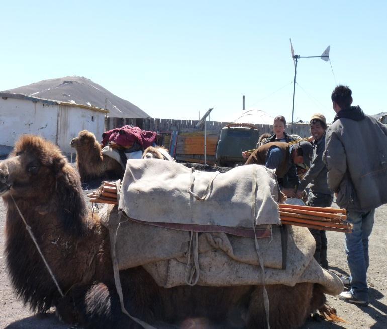 For example, people in the photo on the right are loading their gear on a camel and securing it tightly.