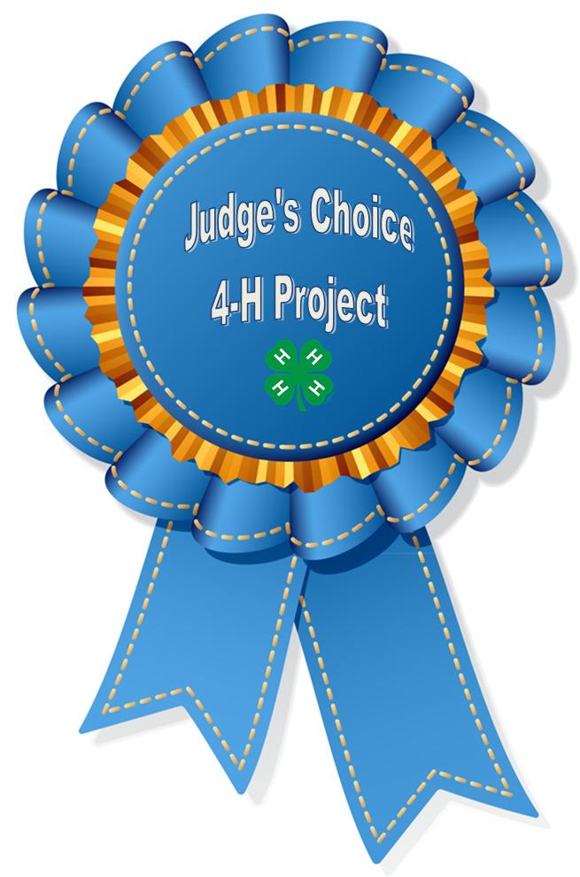 2017 4-H 4 H Judges Choice Winners 4-H CLUB LAST NAME FIRST NAME PROJECT AREA 4-H DOG LOVERS ARLEDGE LANDEN DOG: YOU & YOUR DOG HAGEN MICAH DOG: YOU & YOUR DOG ALL 4 ONE BRETZ EMMA PET RABBIT ALL