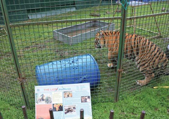 Welfare groups opposition ignored as ACI invites circus industry to write its own rules In September 2007, the ACI decided to establish a policy framework for animal welfare.