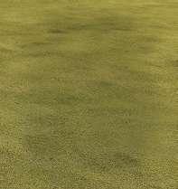 If you started the putt at that fourth ball, it would clearly finish low.