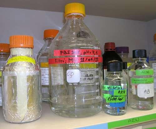 General rules Bottle labeling Bottles on lab benches must be properly LABELED Even bottles containing pure H 2 O Watch for labels peeling off