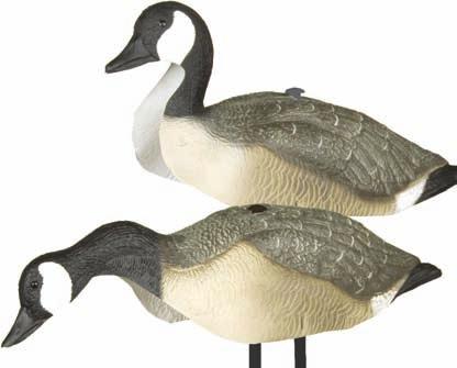 Package includes 12 decoys per carton (8 feeding / 4 semi-rester) Included easy-set spikes make sure your goose decoys don t go anywhere once you ve set them Carry-Lite s one-piece shell Canada goose