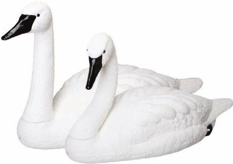 Features intricate feather detail and realistic colors Includes a mounting stake and legs Packed 1 decoy per carton swan Q591 Swans are easily