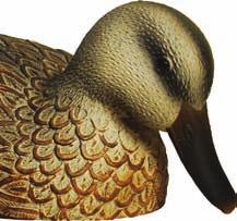 Blue WinGed teal Q7127 (12-PACK) Q7127-6 (6-PACK) This small, swift, early arrival