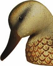 Green WinGed teal Q7126 (12-PACK) Q7126-6 (6-PACK) Our smallest puddle duck is also