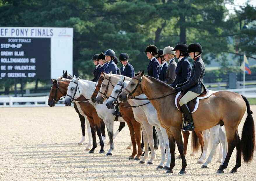 Hunter Class Specs Emerson Burr Horsemanship Grant HUNTER DIVISION PRIZE MONEY 1st - 30%, 2nd 22%, 3rd 15%, 4th 15%, 5th 10%, 6th 8% HUNTER OVER FENCES To be shown over approximately eight fences at