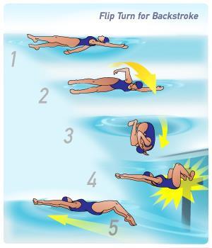 BACKSTROKE TURNS Count your strokes from the flags at race pace. Take a big breath. Roll onto your front and take no more than ONE pull on your front.