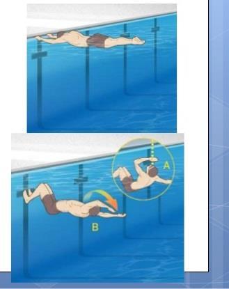 BUTTERFLY STROKE, TURNS & FINISH In a competition, remember to touch with two hands once you hit the wall, and push off.