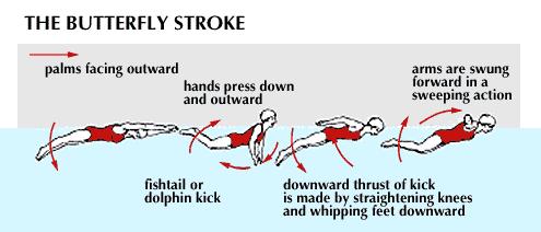 Touch with both hands and lift one arm over your head and your other arm down through the water simultaneously and make