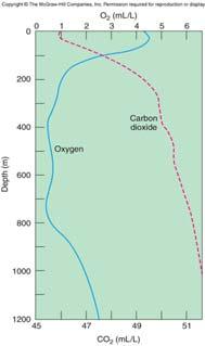 minimum CO 2 Concentrations Direct solution of gas from the atmosphere Respiration of marine organisms Oxidation (decomposition) of organic matter 6 The Carbon/Carbon Dioxide