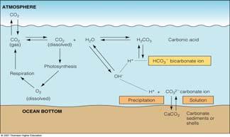 0 ph relatively constant due to buffering action of CO 2 Buffer = substance that prevents sudden or large changes in the acidity or alkalinity of a solution Important for biological processes ph