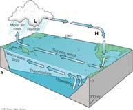 29 Review how wind can induce upwelling and downwelling & the concepts of convergence and divergence