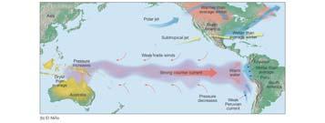 The surface waters of the central and eastern Pacific ic become warmer, and storms over land may