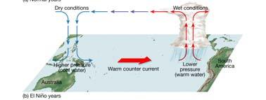 The Coriolis effect modifies the courses of currents, with currents turning clockwise in the Northern Hemisphere and