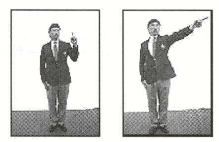 10. SHIKKAKU (Disqualification) Referee uses two hand signals with the announcement SHIKKAKU.