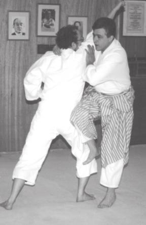 Annesi, Takeshin Sôgô Budô Takeshin Karate Sandan Kumite