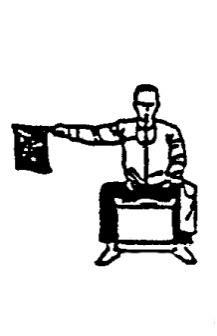 FUKUSHIN Referee Flag Gestures in Kumite SHUSHIN