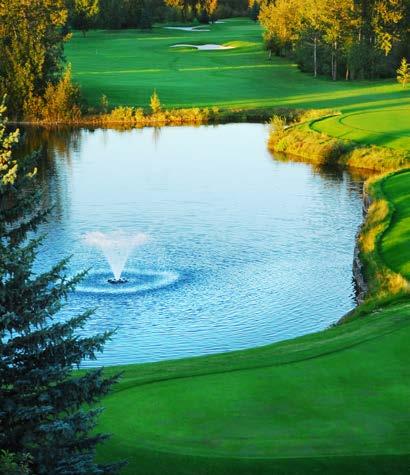Located in the Elbow River Valley, we offer 27 holes of gently rolling terrain and quiet solitude.