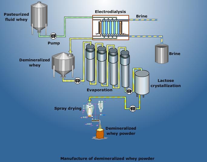 By-Products Technology www.agrimoon.com Page 137 energy must be considered for each kg of demineral-ised whey powder. The process of manufacture of demineralized whey powder is given in Fig.30.2.