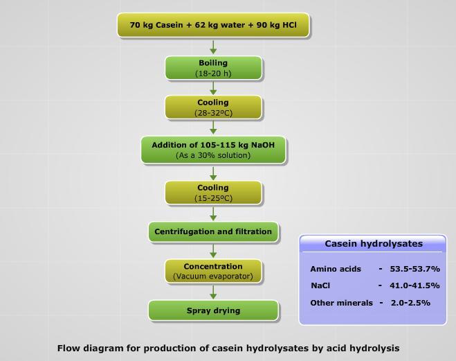 By-Products Technology www.agrimoon.com Page 61 Although acid hydrolysis has been used for preparing casein hydrolysates, the process has some limitations.