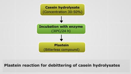 16.5 Plastein reaction The plastein reaction is a process in which proteins are broken down by proteolytic enzymes into a mixture of peptides and amino acids and are then resynthesized enzymatically