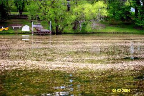 Recreational use of a lake can drop off quickly after it has experienced impacts of