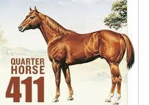 QUARTER HORSE Originated in the U.S. Most popular horse in the U.