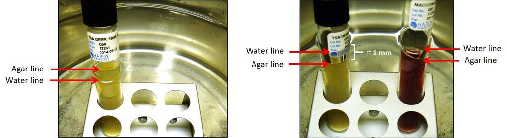 Figure 2. Cover agar line with tap water. The picture on the left shows that the agar line is above the water line. There is not enough water.