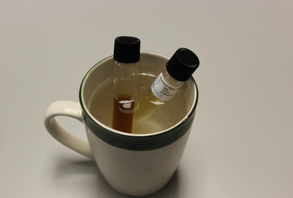 9. When the agar is completely melted, turn off the burner, and carefully remove each agar tube. Place the tubes into a coffee mug filled with hot water. See Figure 6.