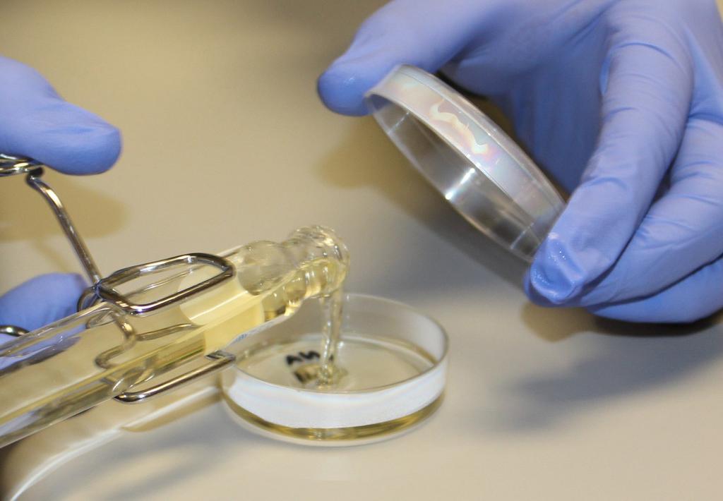 Figure 7. Quickly pouring the melted agar into the labeled Petri dish. 12.
