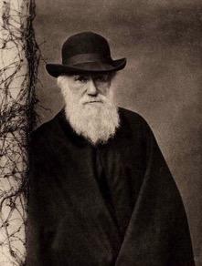 Charles Darwin & Alfred Russel Wallace All species