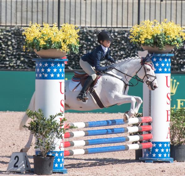 From its roots as a comprehensive test of military horses, eventing has since evolved into a modern sport enjoyed by amateurs of all ages as well as professional riders at the Olympic and